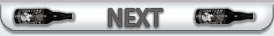 Next Article