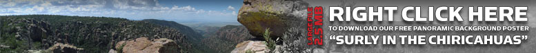 Surly Beer in the Chiricahuas